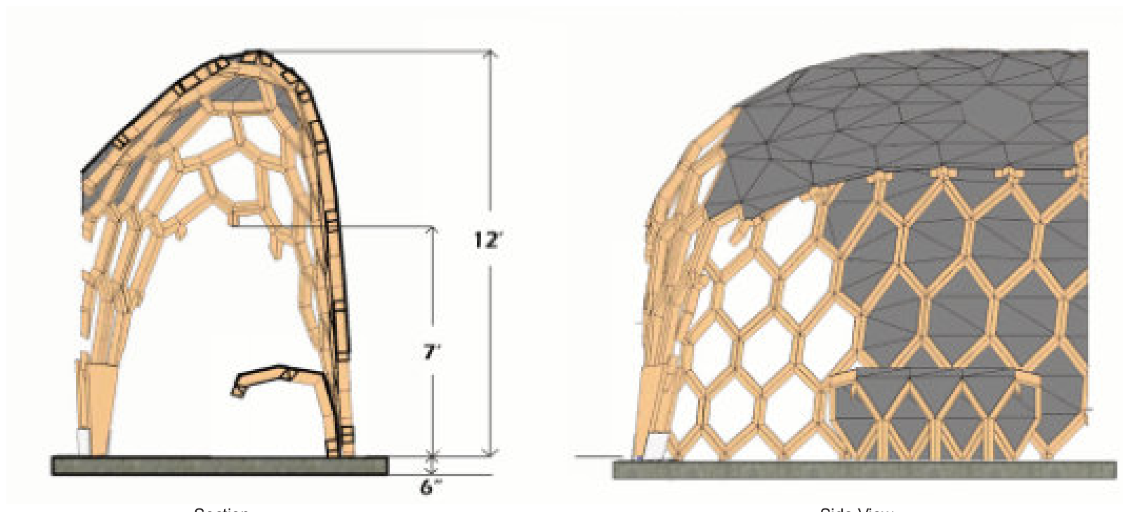 Section view