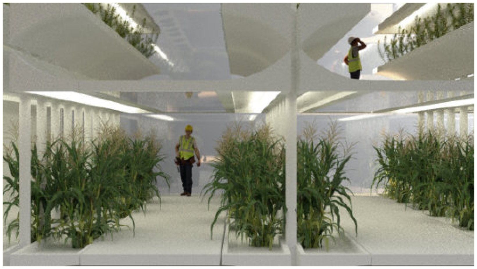 Vertical Farm rendered view